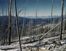 Sangre de Cristo Mountains, looking north into Colorado, 1943. Creator: John Collier