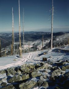 Sangre de Cristo Mountains, New Mexico, 1943. Creator: John Collier