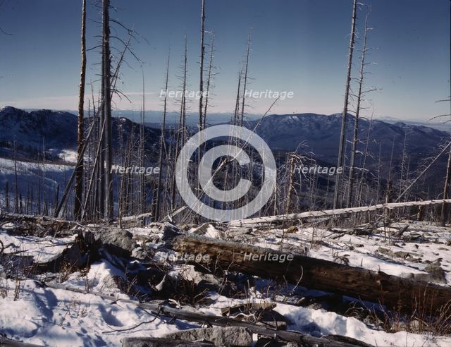 Sangre de Cristo Mt., New Mexico, 1943. Creator: John Collier.