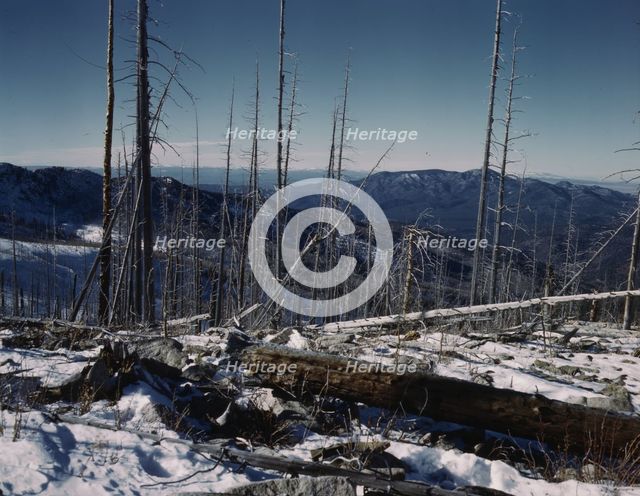 Sangre de Cristo Mts., N.M., 1943. Creator: John Collier.