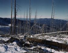 Sangre de Cristo Mts., N.M., 1943. Creator: John Collier