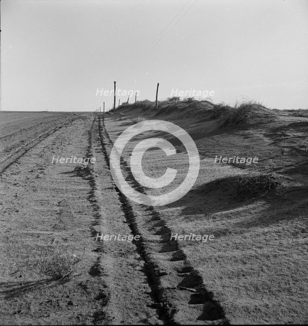 Sand drift along fence, Dust Bowl, north of Dalhart, Texas, 1938. Creator: Dorothea Lange.