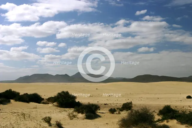 Sand Dunes, Corralejo, Fuerteventura, Canary Islands. Creator: Peter Thompson.