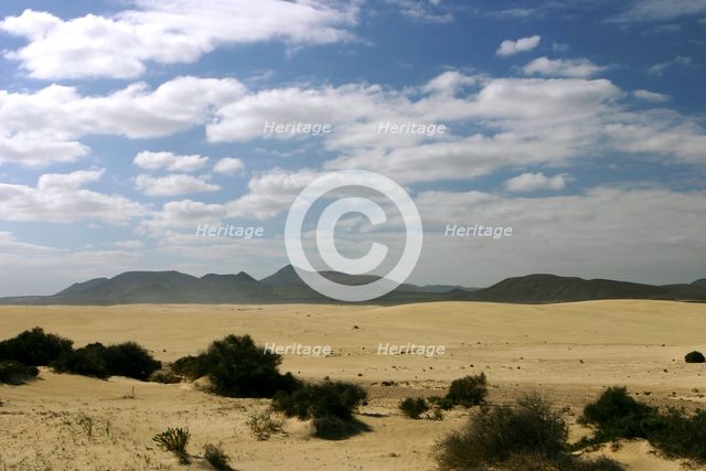 Sand Dunes, Corralejo, Fuerteventura, Canary Islands. Creator: Peter Thompson.