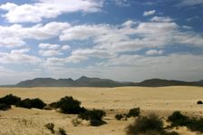 Sand Dunes, Corralejo, Fuerteventura, Canary Islands. Creator: Peter Thompson