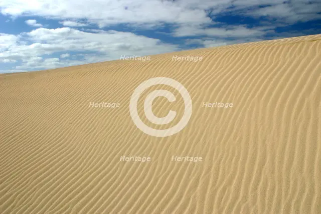 Sand Dunes, Corralejo, Fuerteventura, Canary Islands. Creator: Peter Thompson.