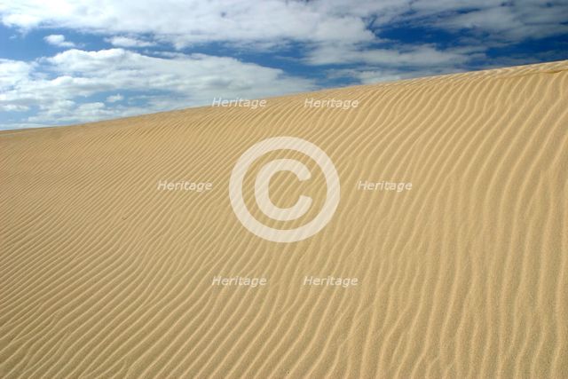 Sand Dunes, Corralejo, Fuerteventura, Canary Islands. Creator: Peter Thompson.