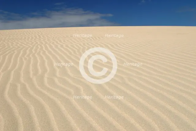 Sand Dunes, Corralejo, Fuerteventura, Canary Islands. Creator: Peter Thompson.