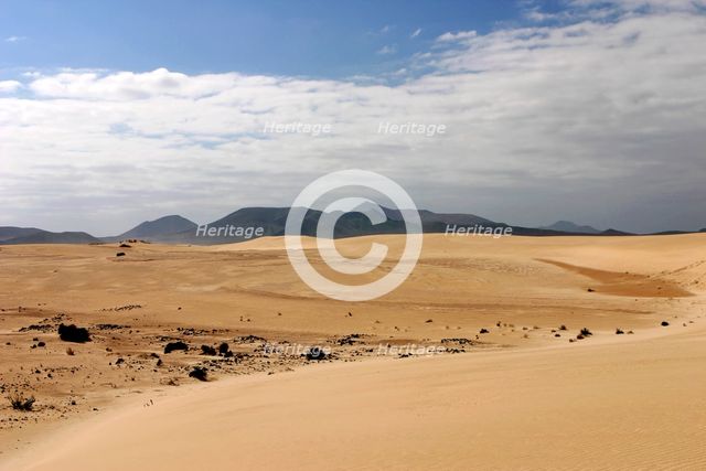 Sand Dunes, Corralejo, Fuerteventura, Canary Islands. Creator: Peter Thompson.