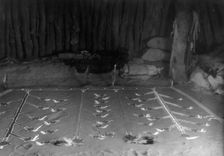 Sand painting, Wind Doctor's ceremony-Navaho, c1905. Creator: Edward Sheriff Curtis