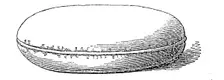 Sandbag, 1844. Creator: Unknown
