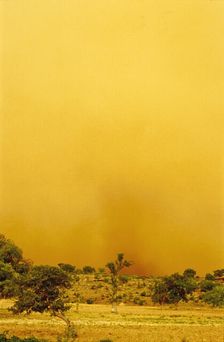 Sandstorm, Mali, 1990. Creator: Amanda Waite