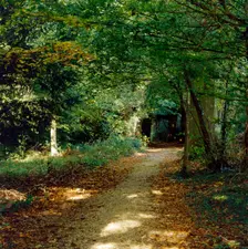 Sandwalk path, Down House, Downe, Kent, c1980-c2017. Artist: Historic England Staff Photographer