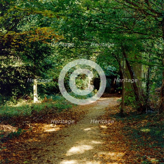 Sandwalk path, Down House, Downe, Kent, c1980-c2017. Artist: Historic England Staff Photographer.