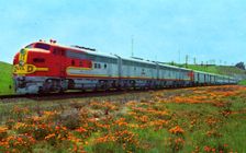 Santa Fe's Super Chief passing a field of California poppies, 1956