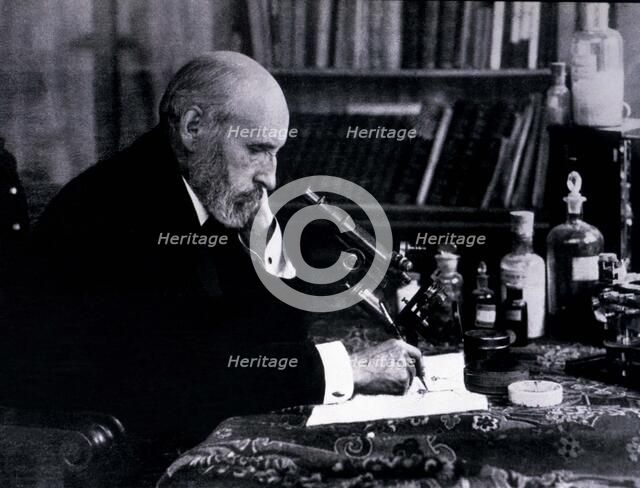 Santiago Ramón y Cajal (1852-1934), Spanish physician and researcher, Nobel Prize in Medicine in …