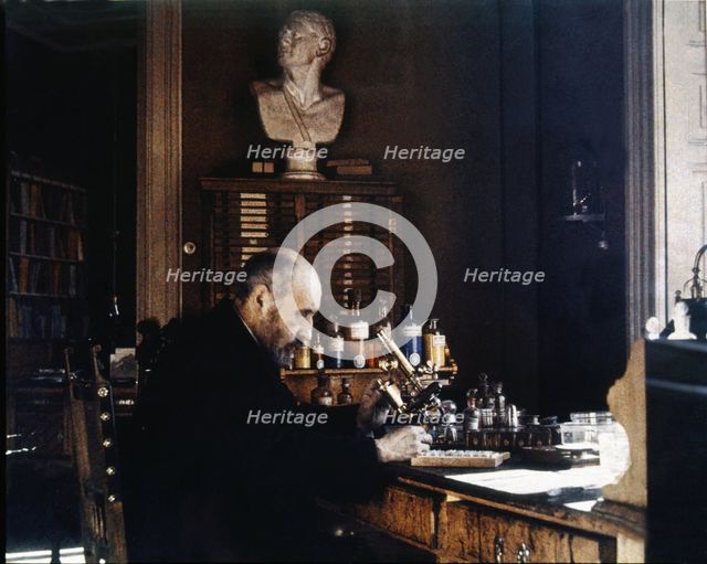 Santiago Ramón y Cajal (1852-1934), Spanish physician and researcher, Nobel Prize in 1906, color …
