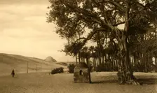 Saqqara - The Step Pyramid seen from the Sycomore c1918-c1939. Creator: Unknown