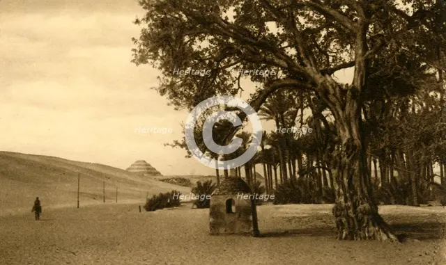 'Saqqara - The Step Pyramid seen from the Sycomore', c1918-c1939. Creator: Unknown.