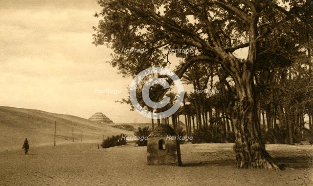 'Saqqara - The Step Pyramid seen from the Sycomore', c1918-c1939. Creator: Unknown.