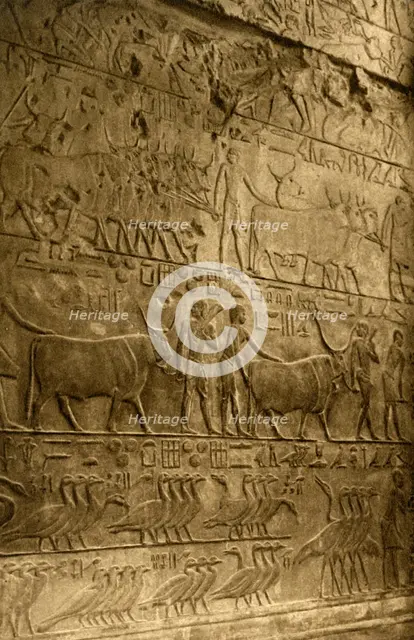 'Saqqara - Tomb of Ptahotep - Mural Decoration', c1918-c1939. Creator: Unknown.