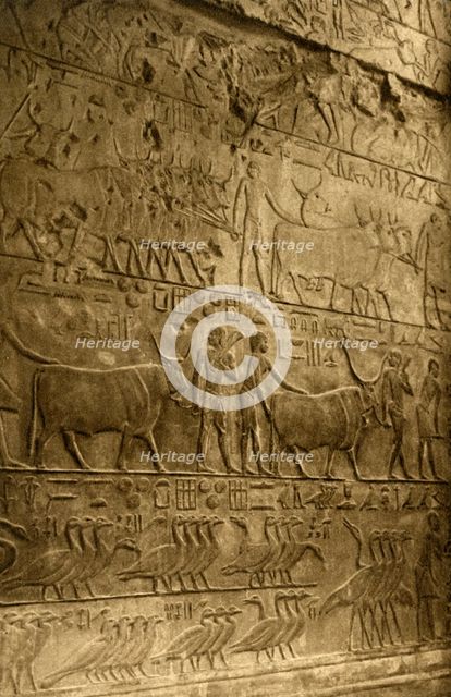 'Saqqara - Tomb of Ptahotep - Mural Decoration', c1918-c1939. Creator: Unknown.