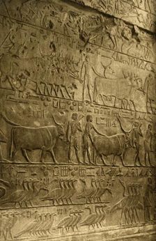 Saqqara - Tomb of Ptahotep - Mural Decoration c1918-c1939. Creator: Unknown