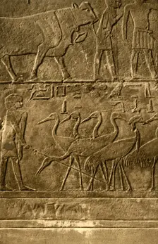 Saqqara - Tomb of Ti Mural Paintings c1918-c1939. Creator: Unknown