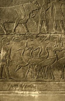 Saqqara - Tomb of Ti Mural Paintings c1918-c1939. Creator: Unknown