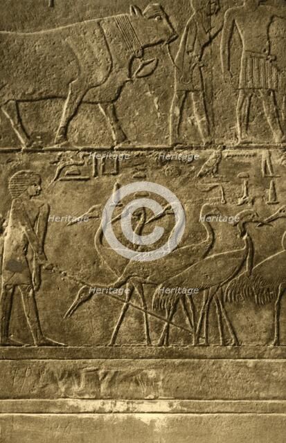 'Saqqara - Tomb of Ti Mural Paintings', c1918-c1939. Creator: Unknown.