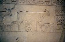 Sarcophagus, Middle Kingdom, Ancient Egyptian, c2040-1786 BC