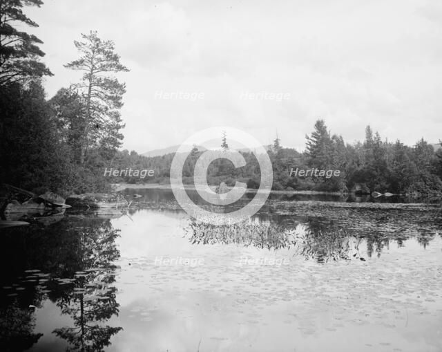 Saranac River below Bartlett's carry, Adirondack Mts., N.Y., between 1900 and 1910. Creator: Unknown.