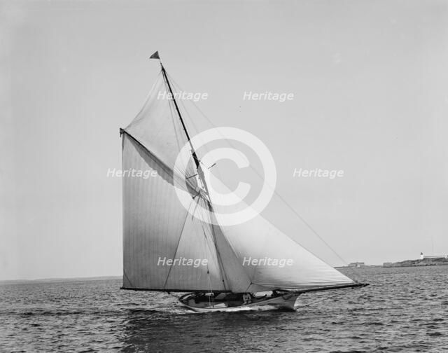 Saracen, 1891 May 12. Creator: Unknown.