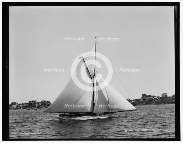 Saracen, between 1888 and 1899. Creator: Unknown.