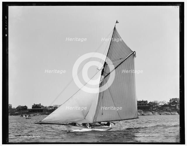 Saracen, between 1888 and 1899. Creator: Unknown.