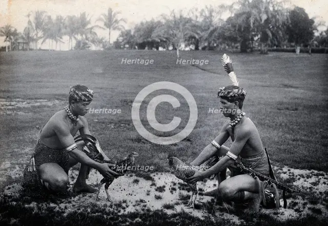 Sarawak: two Sea Dayaks at a cockfight, c1900. Creator: Unknown.