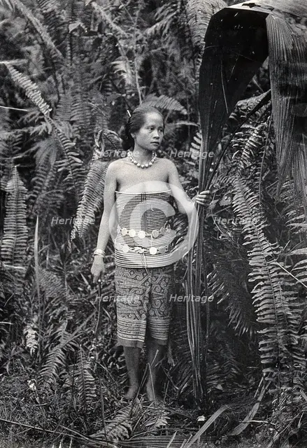 Sarawak: a girl picking leaves for use as fibres, c1900. Creator: Unknown.