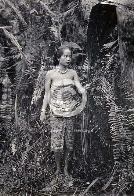 Sarawak: a girl picking leaves for use as fibres, c1900. Creator: Unknown.
