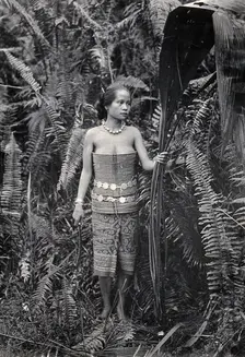 Sarawak: a girl picking leaves for use as fibres, c1900. Creator: Unknown