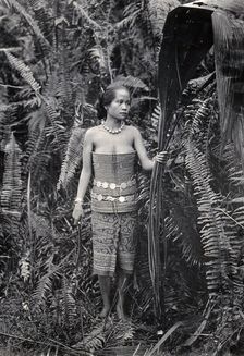 Sarawak: a girl picking leaves for use as fibres, c1900. Creator: Unknown
