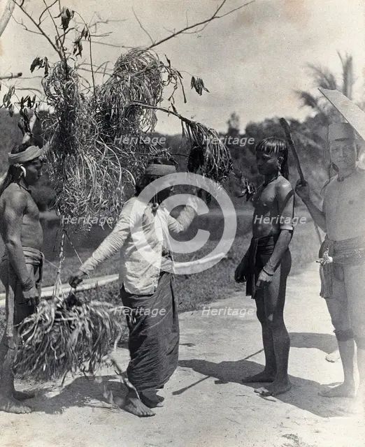 Sarawak: a Kayan woman dancing with the head of an enemy, c1900. Creator: Unknown.