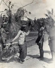 Sarawak: a Kayan woman dancing with the head of an enemy, c1900. Creator: Unknown
