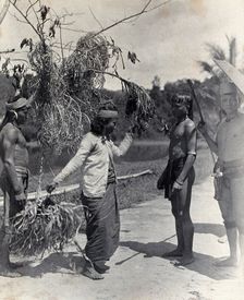 Sarawak: a Kayan woman dancing with the head of an enemy, c1900. Creator: Unknown
