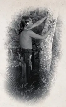 Sarawak: a Kenyah worker collecting the poison from an upas tree trunk, c1900. Creator: Unknown