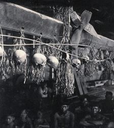 Sarawak: decorated human skulls hanging in a Kayan house, c1900. Creator: Unknown