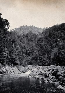 Sarawak: falls on the Baram River, c1900. Creator: Unknown