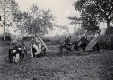 Sarawak: five Kenyah warriors in a warfare ritual, c1900. Creator: Unknown