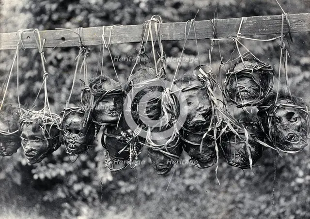 Sarawak: preserved and decorated human heads taken and strung up by Sea Dayaks, c1900. Creator: Unknown.