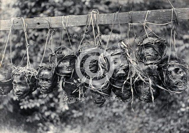 Sarawak: preserved and decorated human heads taken and strung up by Sea Dayaks, c1900. Creator: Unknown.