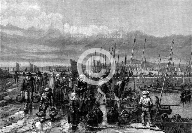 Sardine fishery on the coast of Brittany, 1871. Creator: Unknown.
